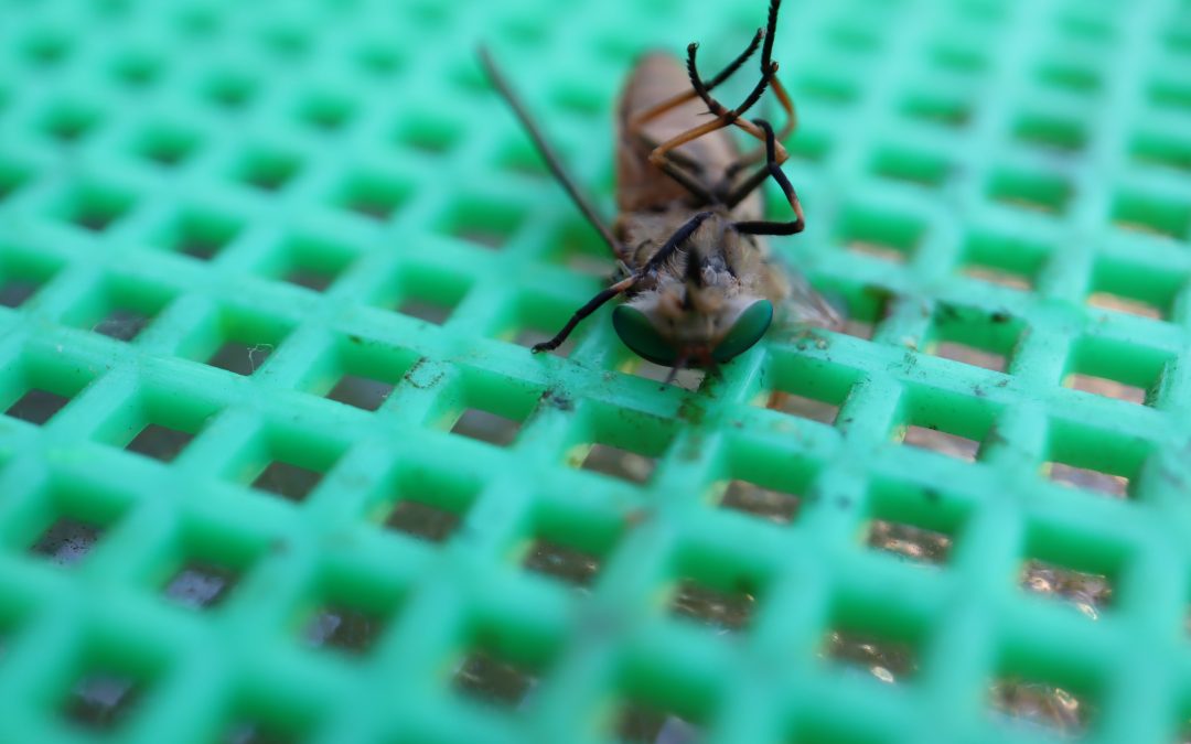 Cities can measure performance…but only a few will even try and North Bay is stuck in first gear