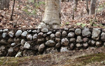 Word of the Week: ‘Entitlement’