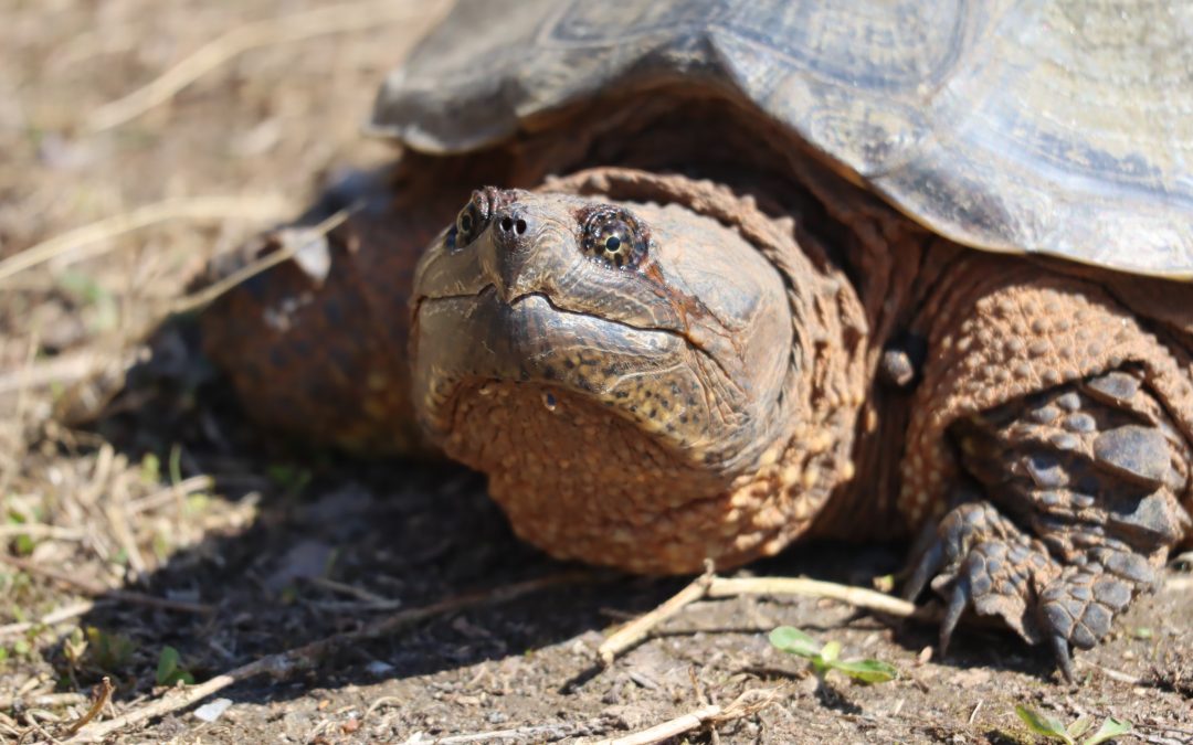 Word of the Week: ‘Accountability’
